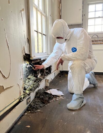 Mold Testing
