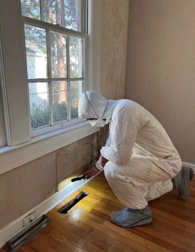 Mold Inspectors